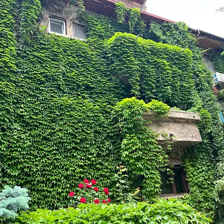 Daire Floreasca Bükreş