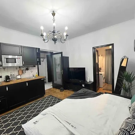 Floreasca Διαμέρισμα Βουκουρέστι