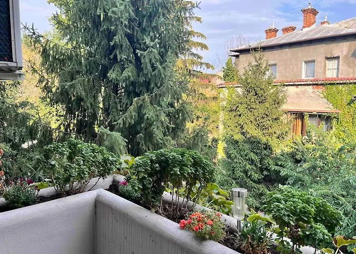 Floreasca Apartament