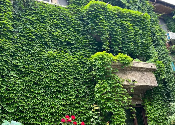 Apartament Floreasca Bucureşti